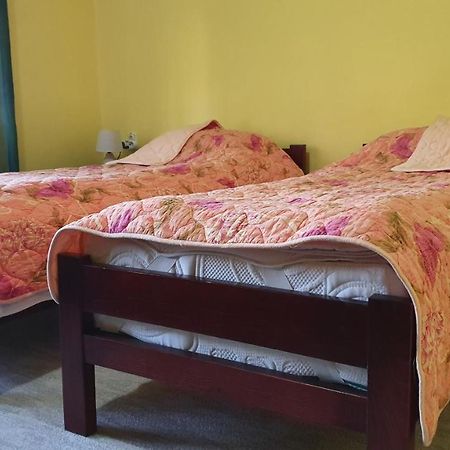 Apartment Roxana Centar Novi Sad Bagian luar foto