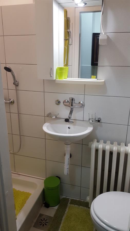 Apartment Roxana Centar Novi Sad Bagian luar foto
